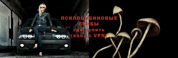 спиды Армянск