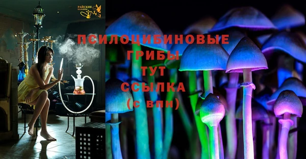 спиды Арсеньев
