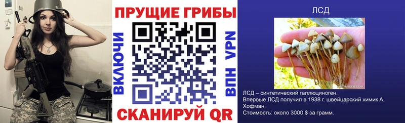 Галлюциногенные грибы Magic Shrooms  даркнет наркотические препараты  Боровск 